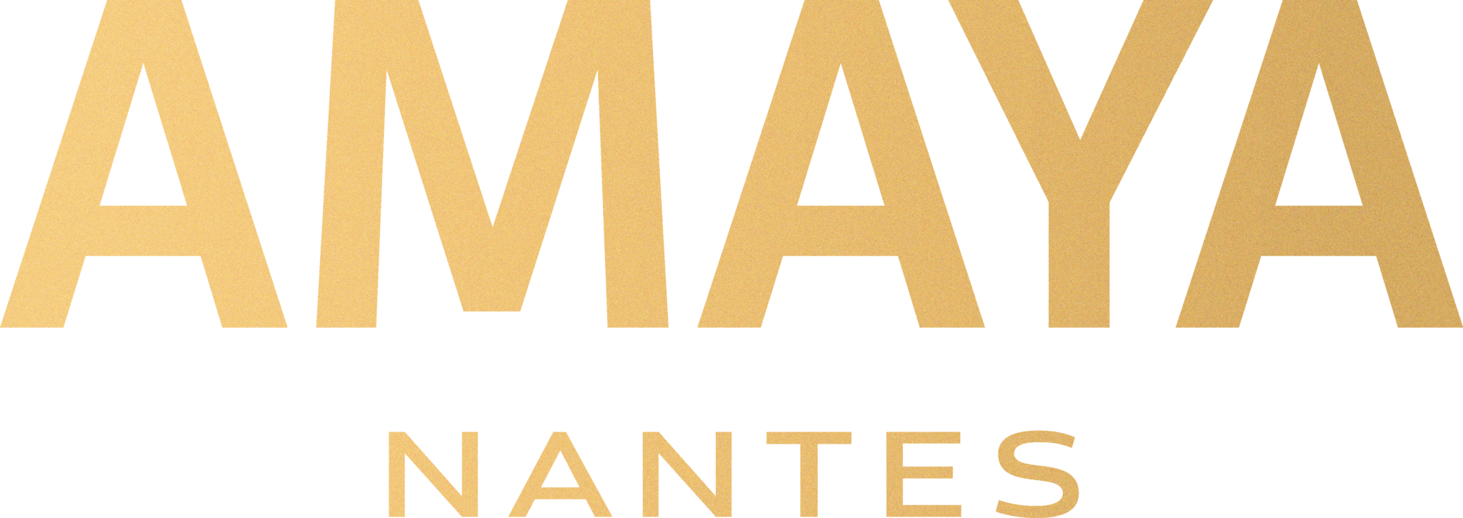 Logo_Amaya